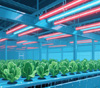 LED Full Spectrum Grow Light For Tomato Pepper Fruit Planting