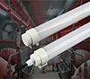 LED swine light for pig farm and swine barn lighting