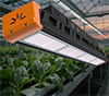 LED linear plant light uniform illumination grow lamp