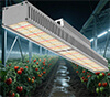 Full spectrum LED linear plant light greenhouse lighting