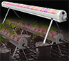Dimmable LED linear plant light indoor grow fixture