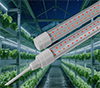LED tube plant light full spectrum grow lamp