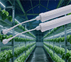 Easy install LED tube plant light standard holder
